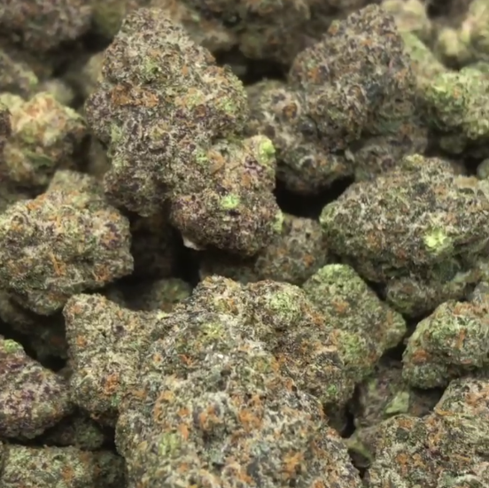 Indica 007 strain purple hints frosty best online order