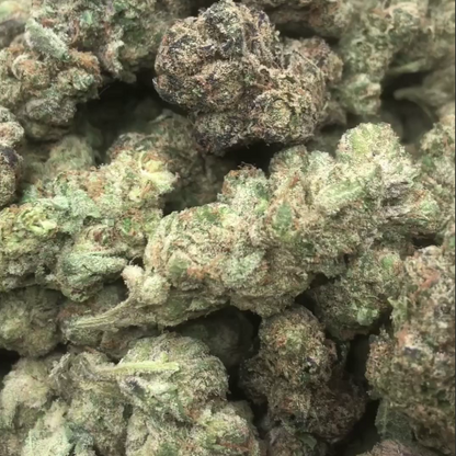 Best online order indoor indica exotic flower, green with hints of purple