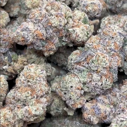 buy alien og bulk wholesale online discount