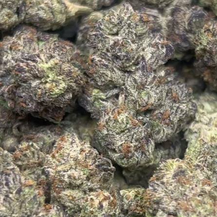 Bruce Banner exotic indoor wholesale bulk